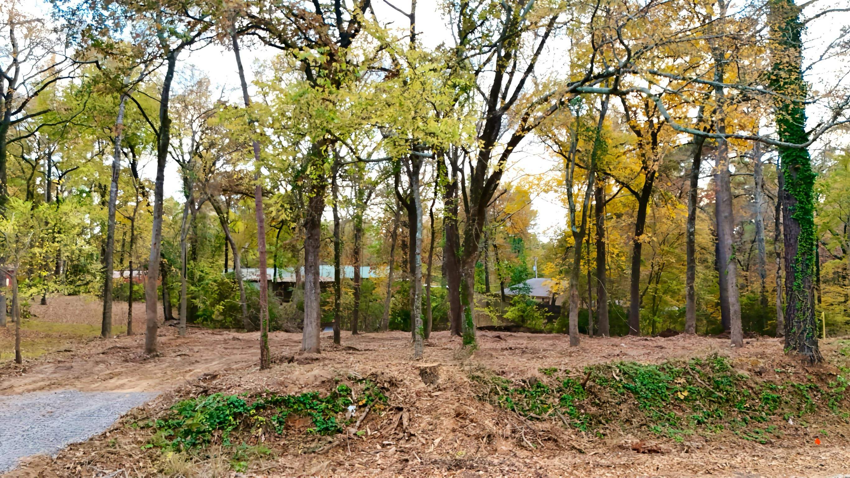 TBD Pliler Precise Road