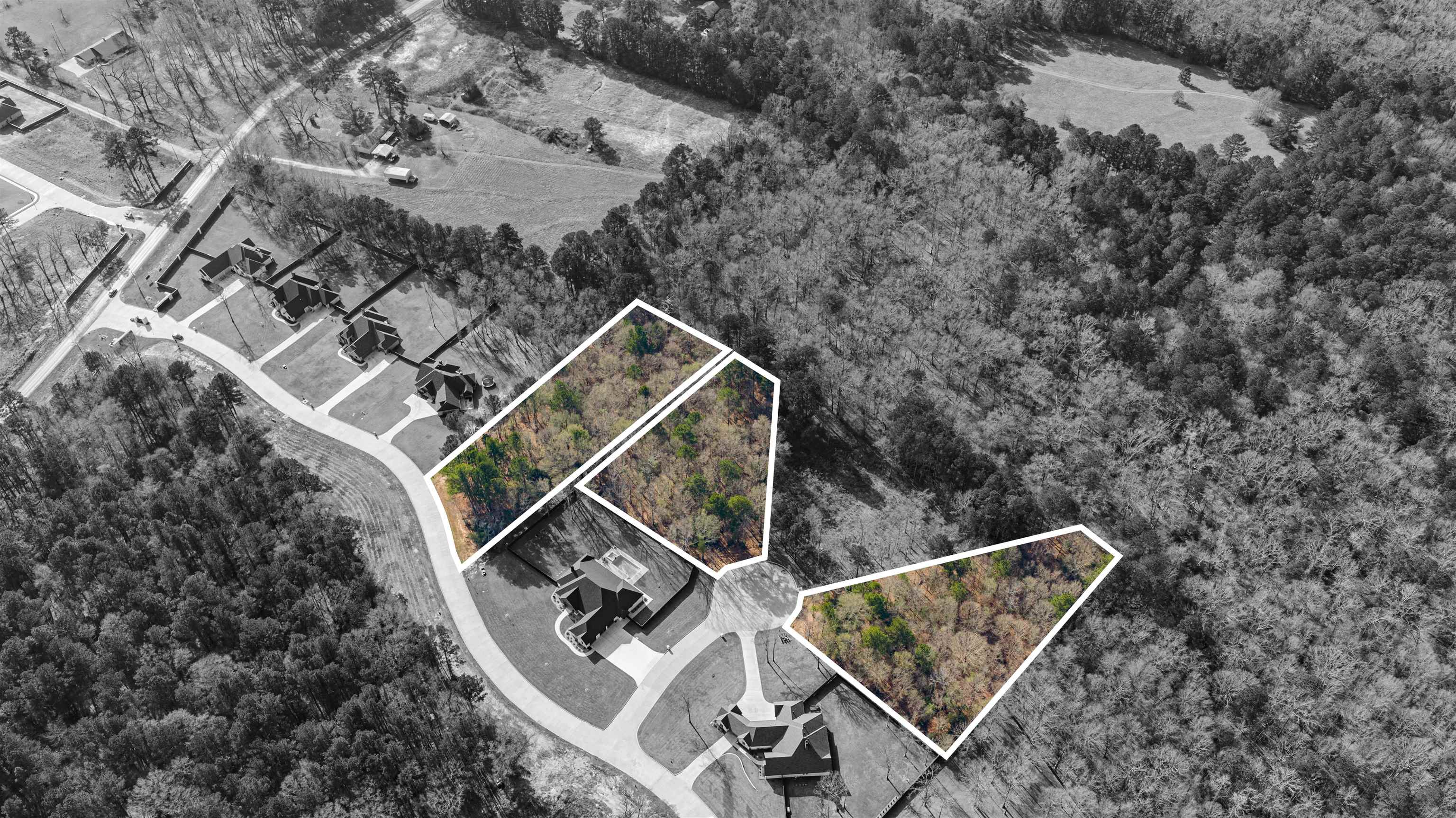 TBD THORN BRIAR TRAIL