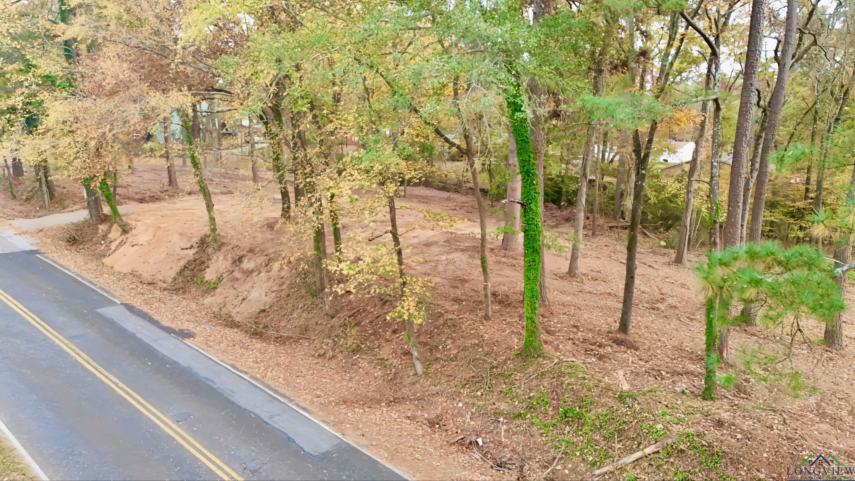 TBD Pliler Precise Road