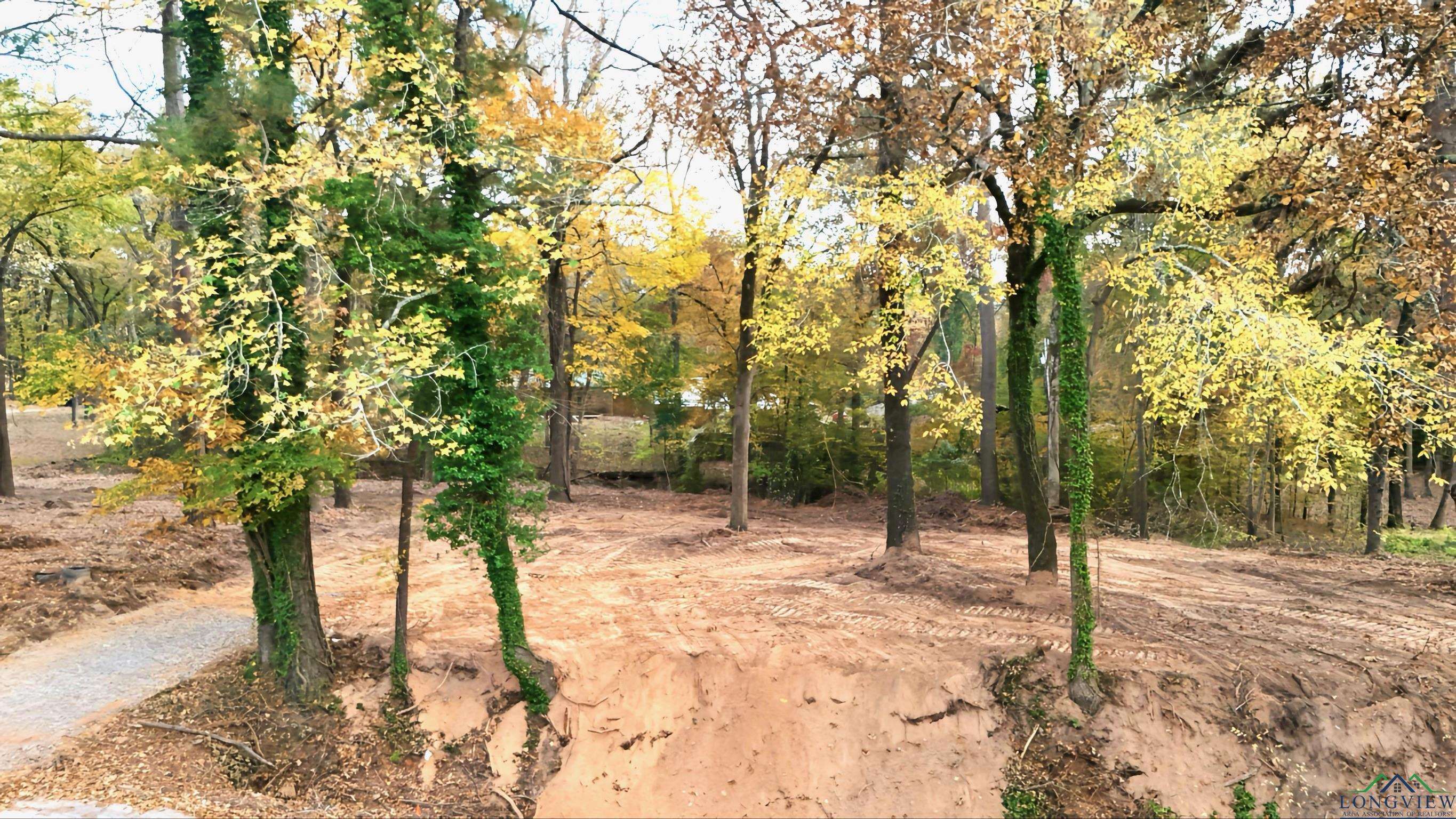 TBD Pliler Precise Road