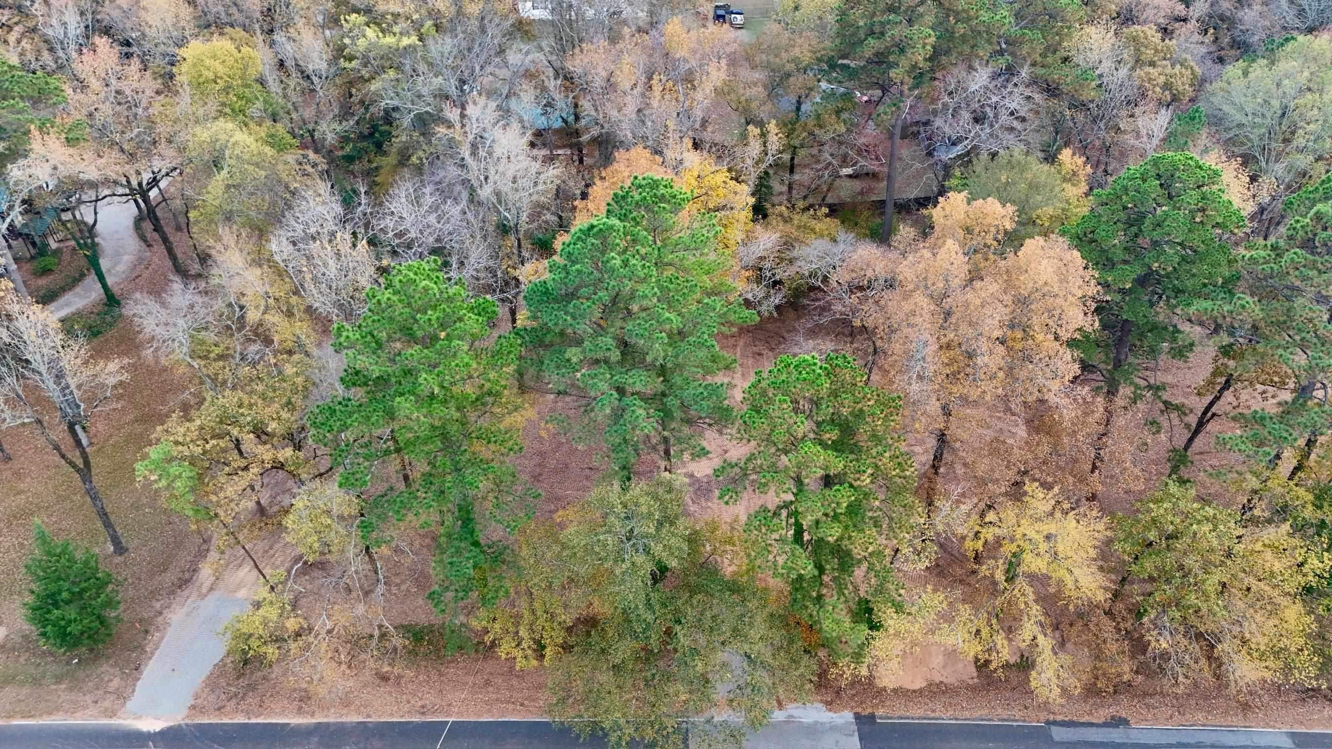 TBD Pliler Precise Road