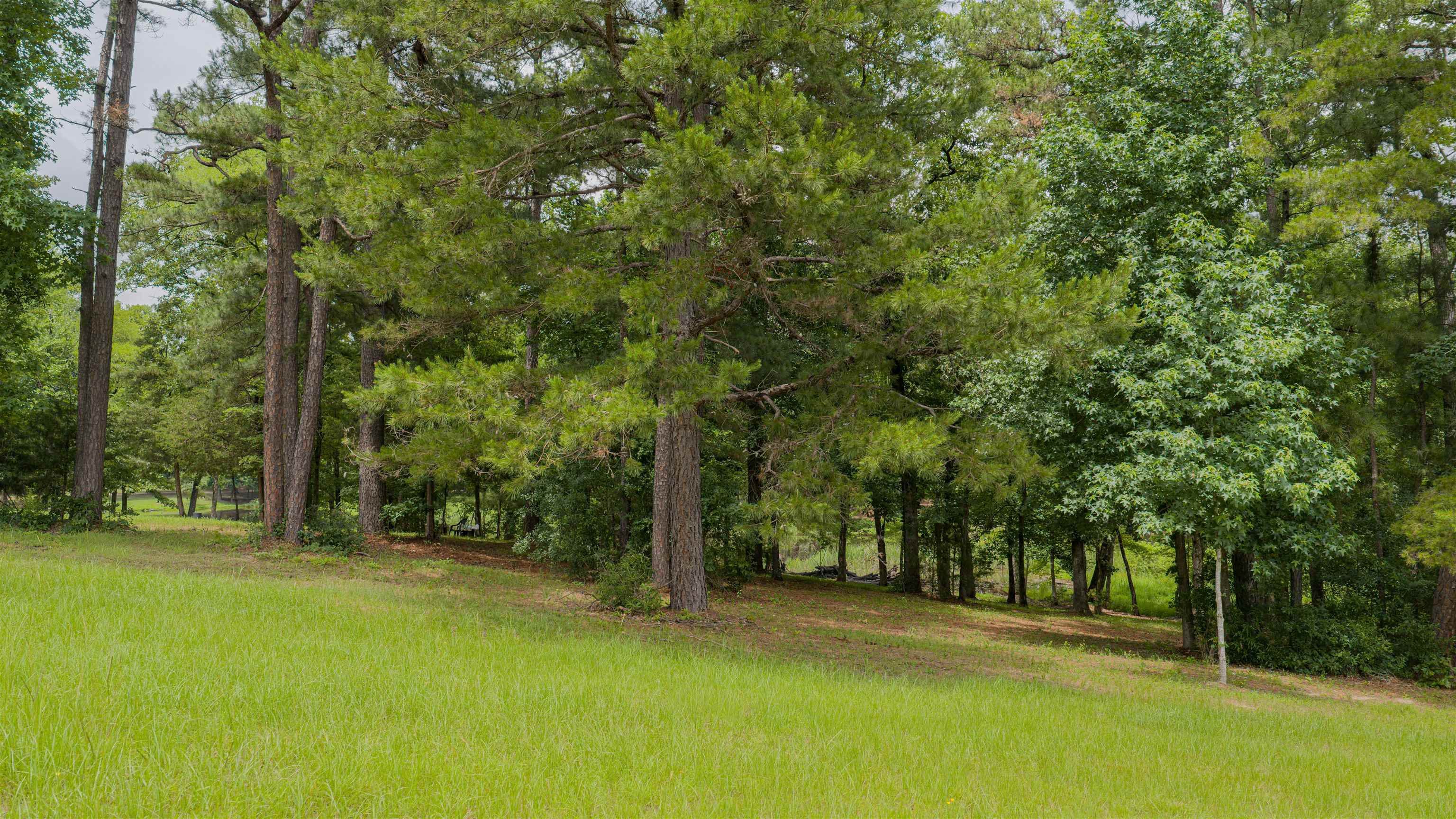 LOT 2 Hummingbird Road