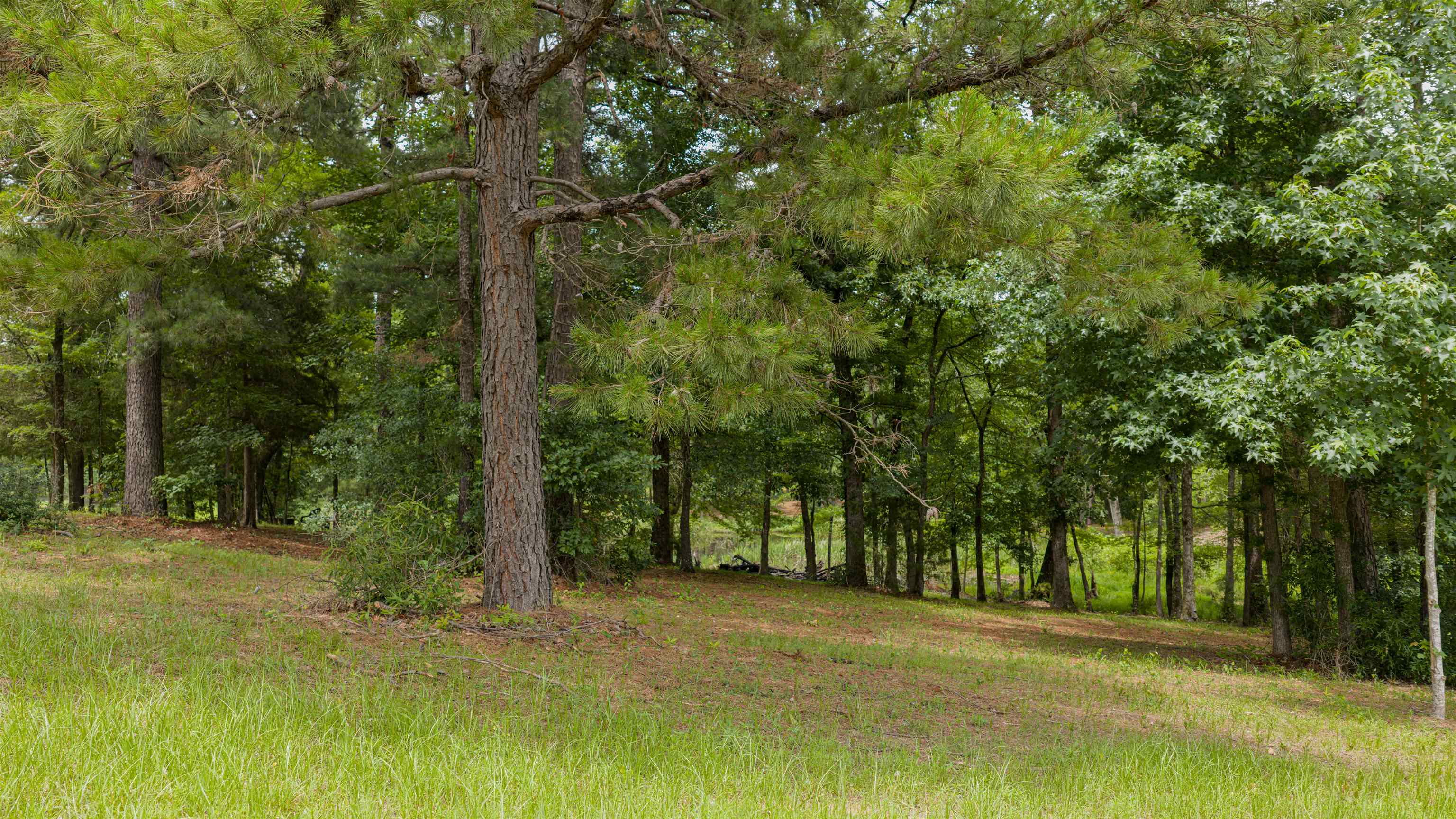 LOT 2 Hummingbird Road