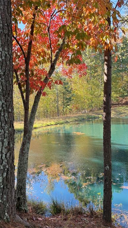 112 Serenity Lake Drive