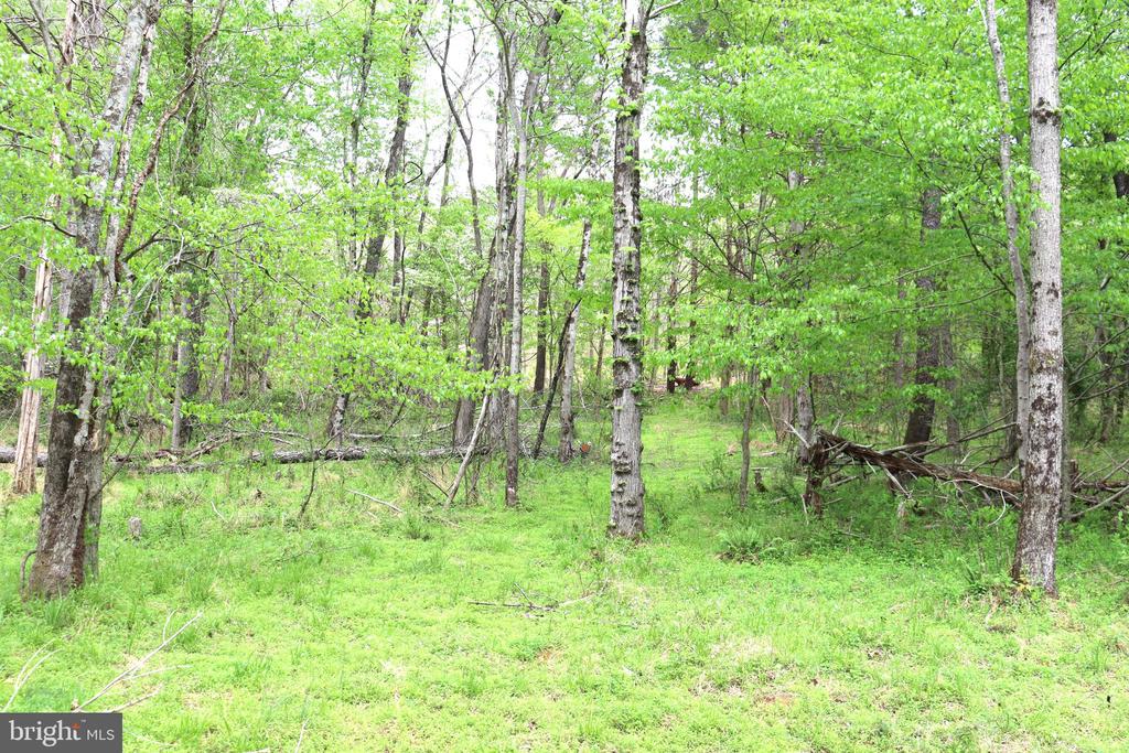 0 HAZEL RIVER RD