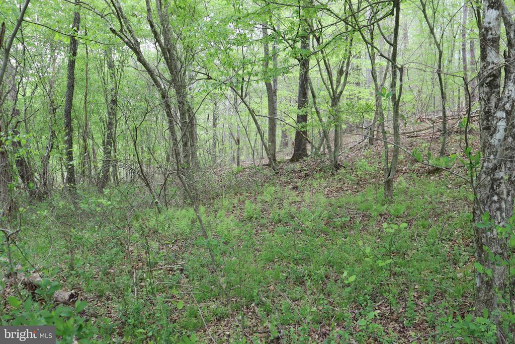 0 HAZEL RIVER RD