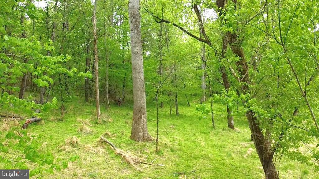 0 HAZEL RIVER RD