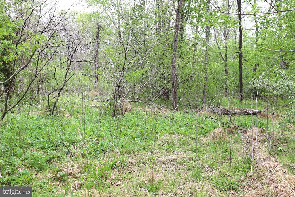 0 HAZEL RIVER RD