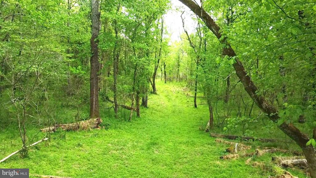0 HAZEL RIVER RD