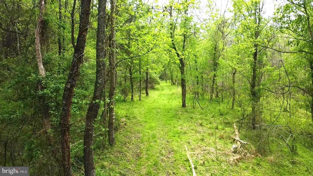 0 HAZEL RIVER RD