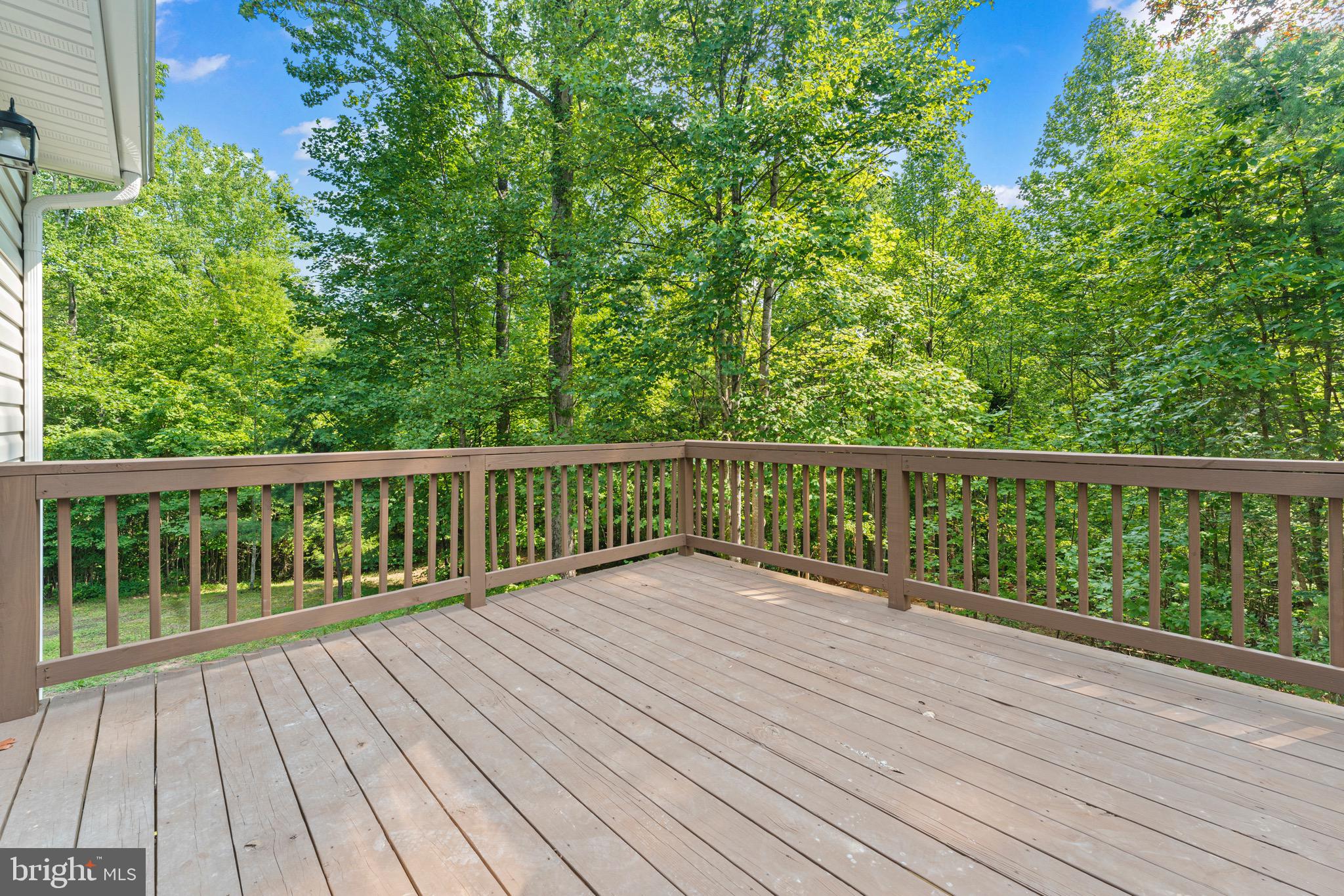 345 Bird Ln