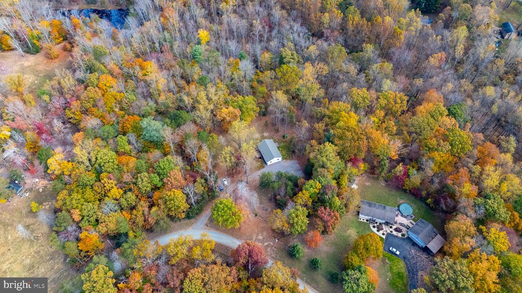 345 Bird Ln