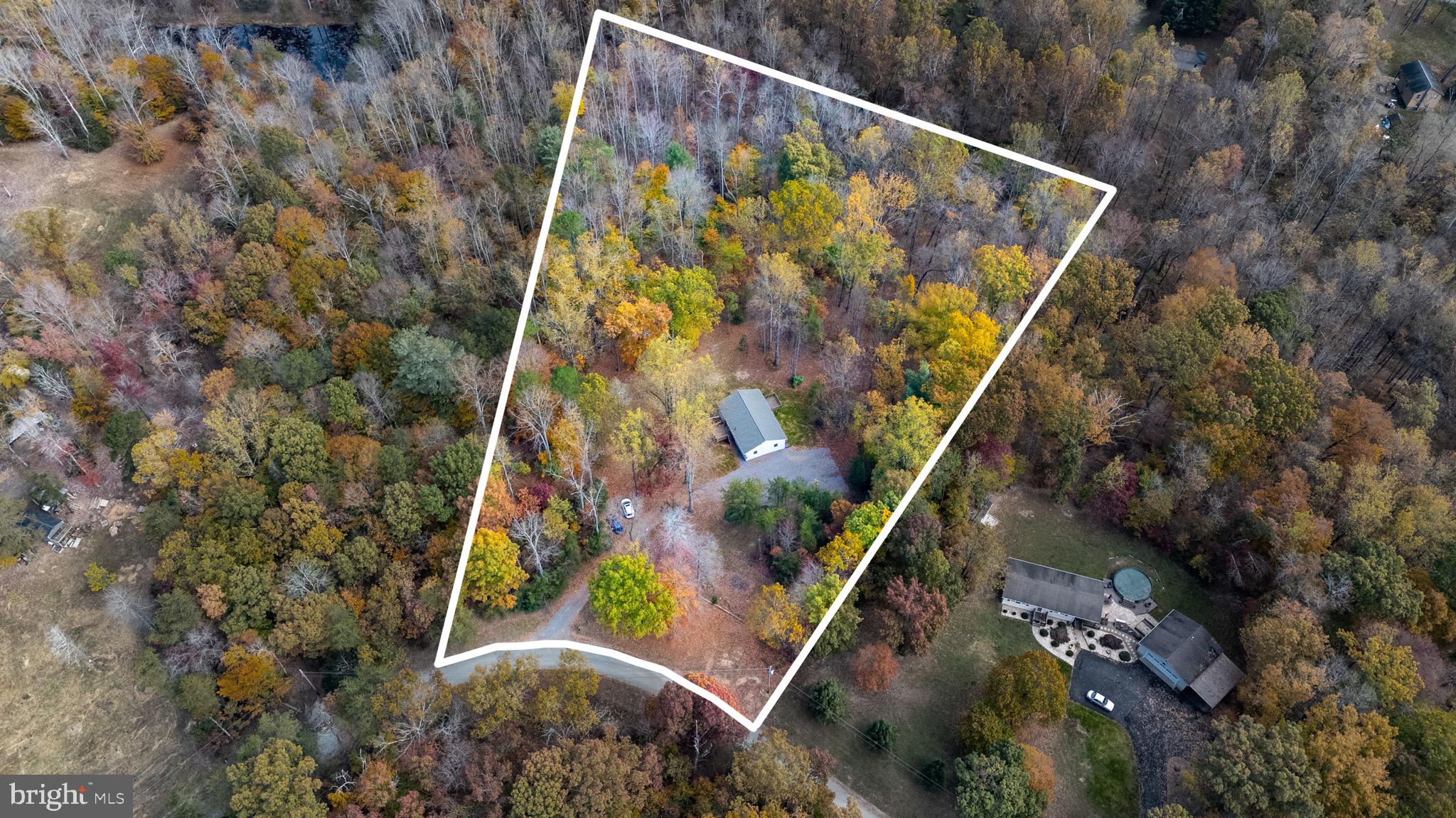 345 Bird Ln