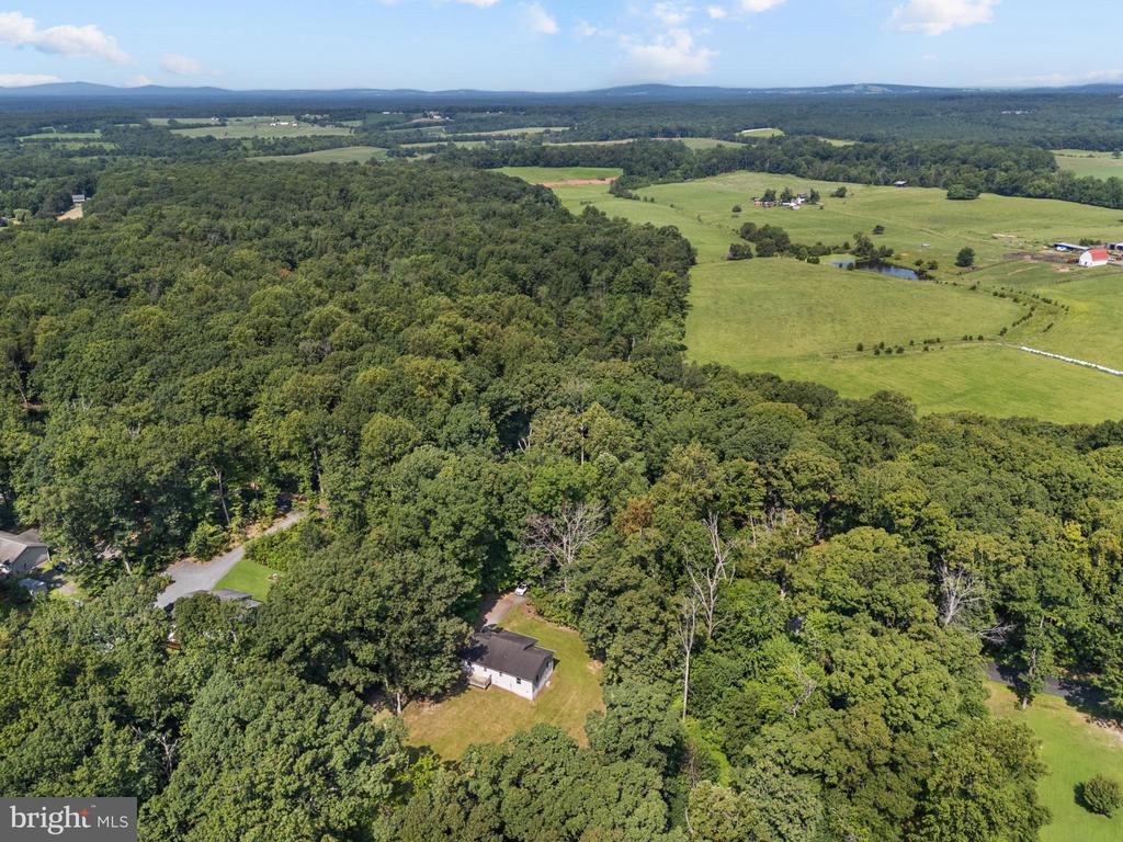 13175 Tower Rd