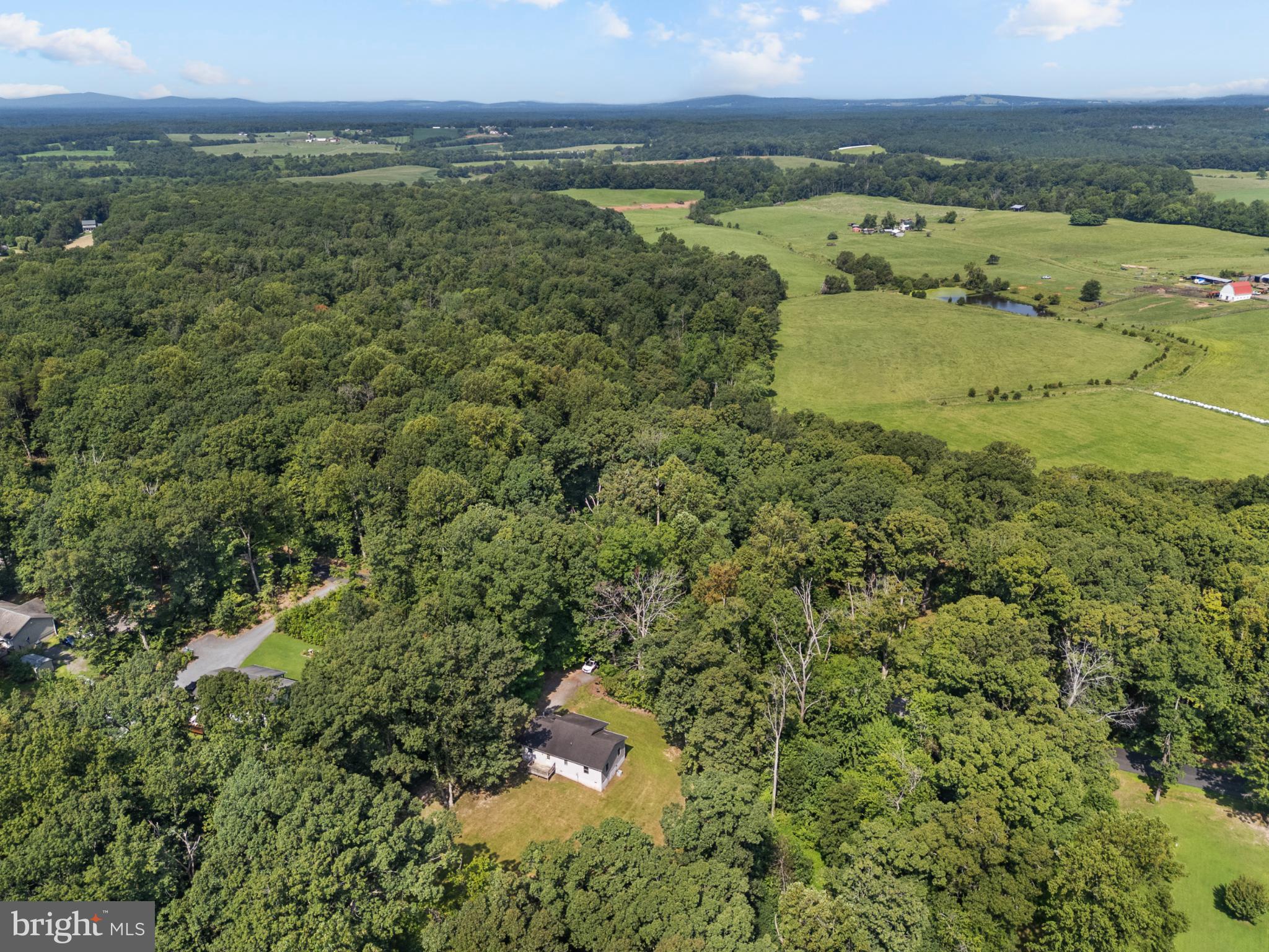 13175 Tower Rd