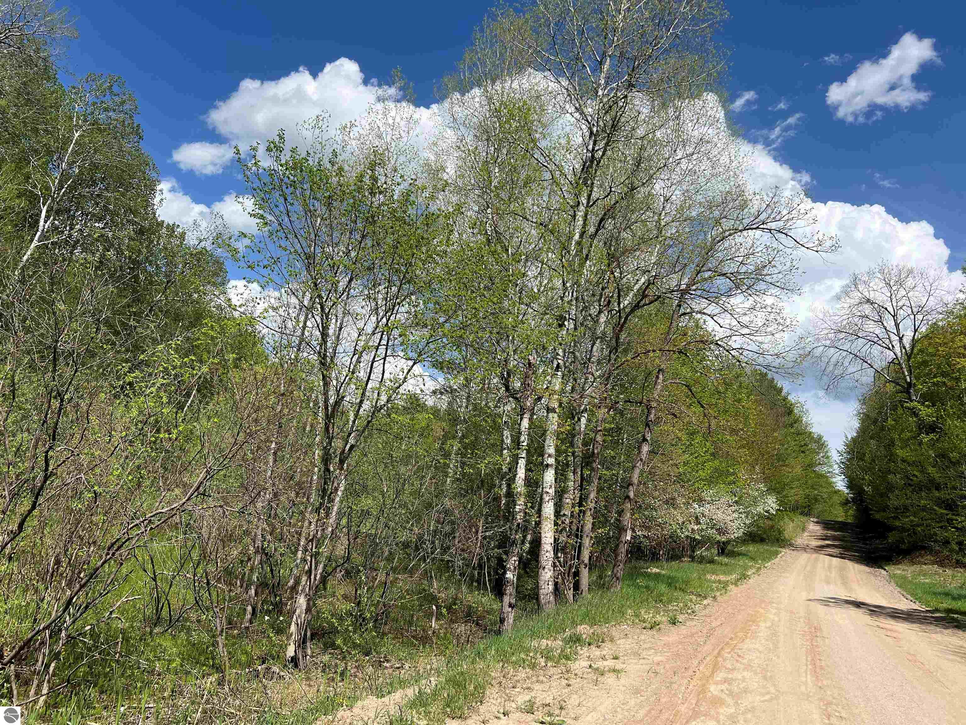 TBD Pesek Road