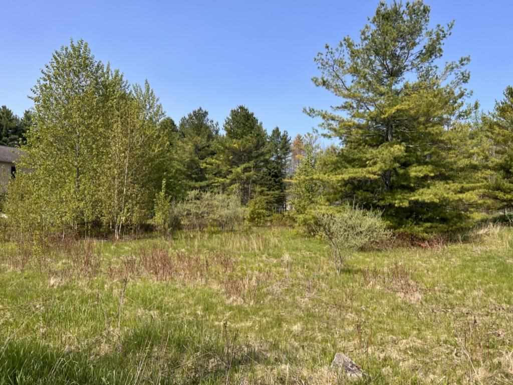 Lot 4 Whippoorwill Lane Unit: 4