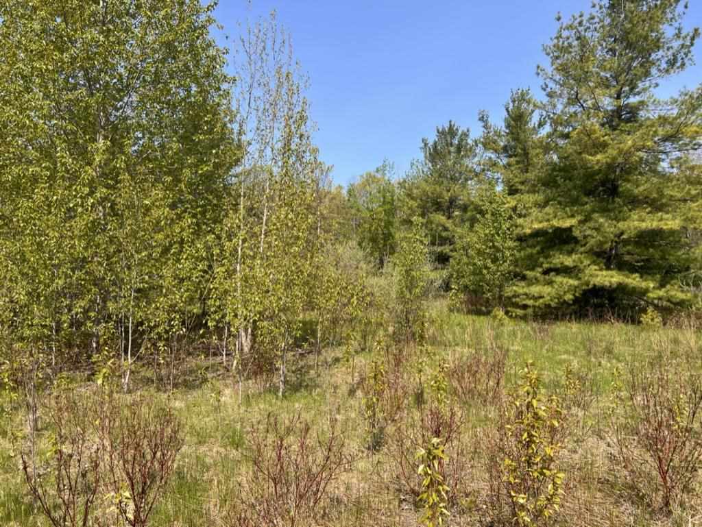 Lot 4 Whippoorwill Lane Unit: 4