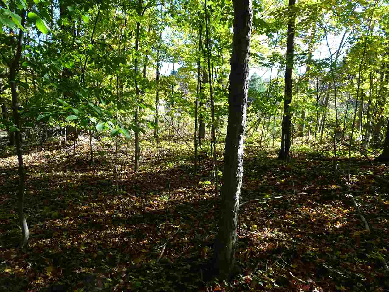 Lot #5 Apple Lane Unit: Lot #5