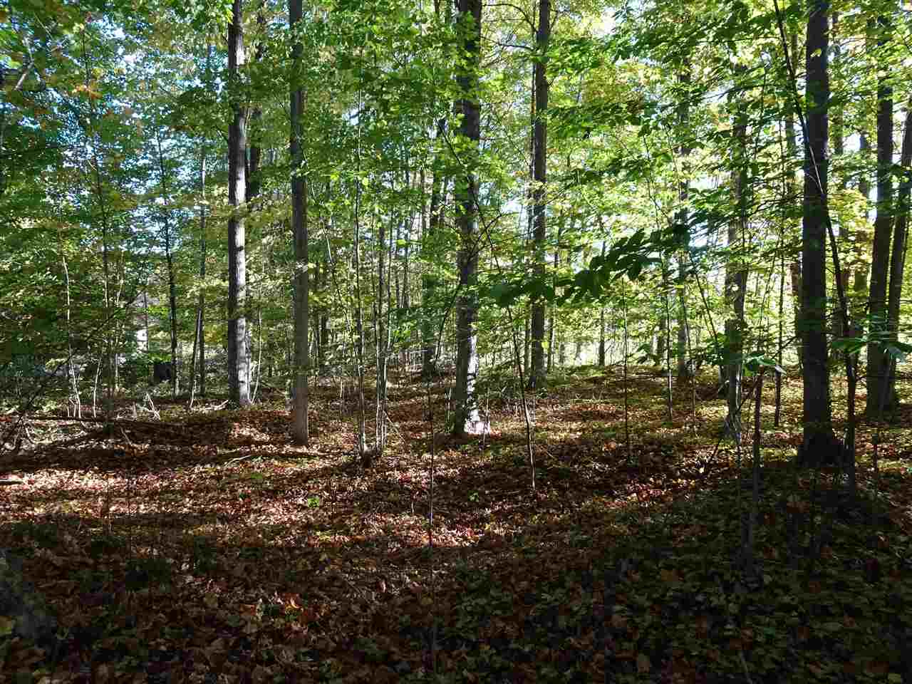 Lot #5 Apple Lane Unit: Lot #5