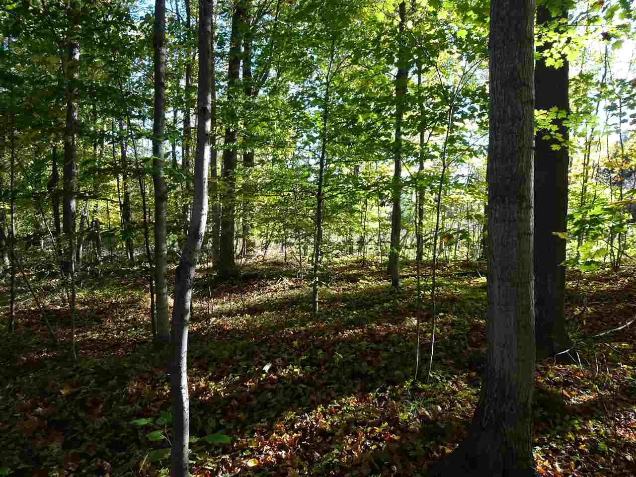 Lot #5 Apple Lane Unit: Lot #5