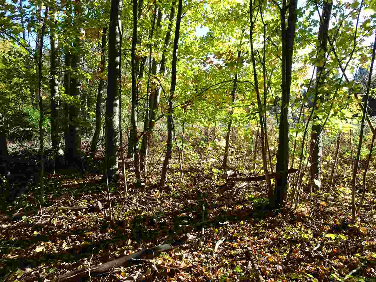 Lot #5 Apple Lane Unit: Lot #5