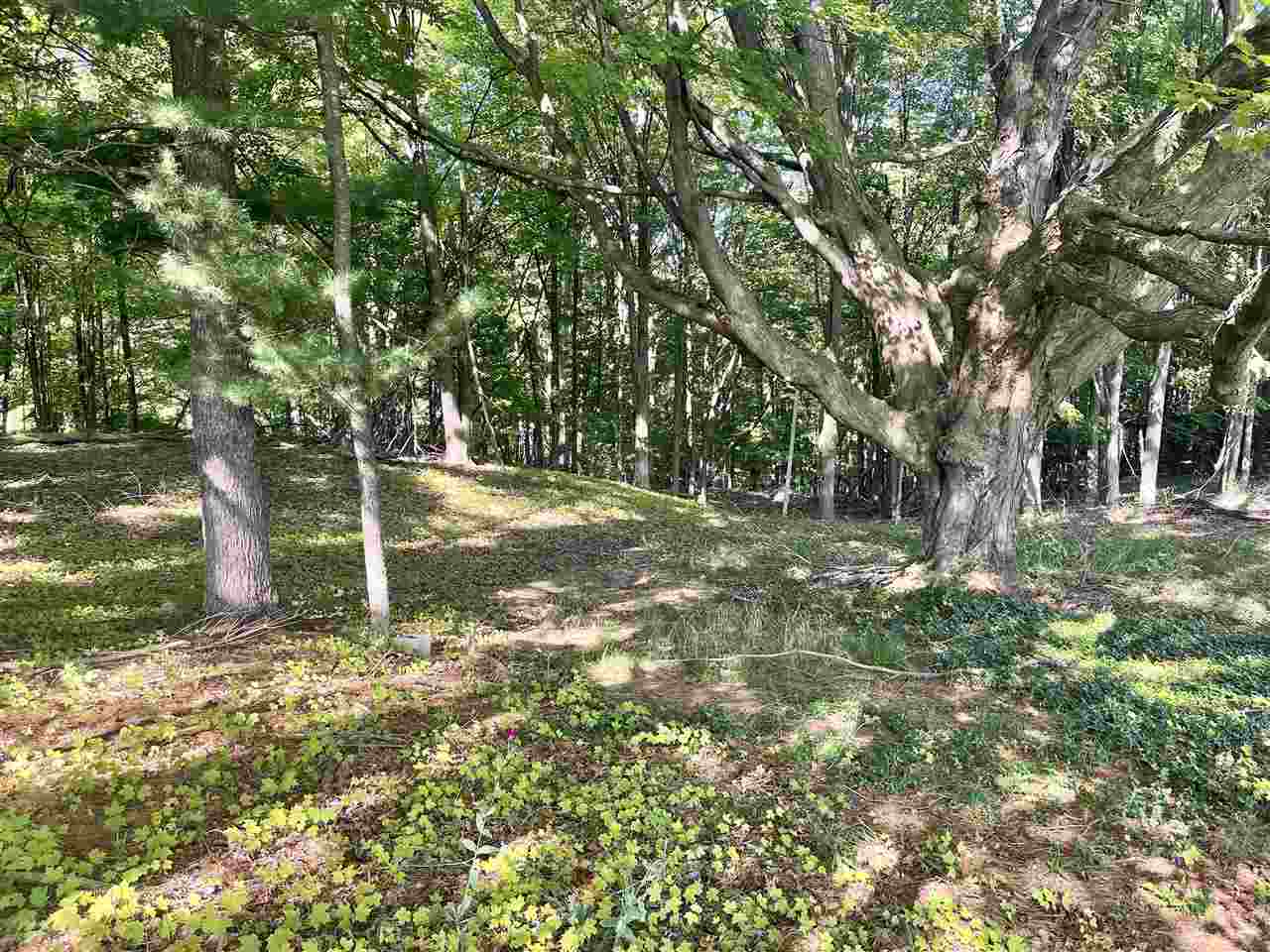 3479 Veterans Drive