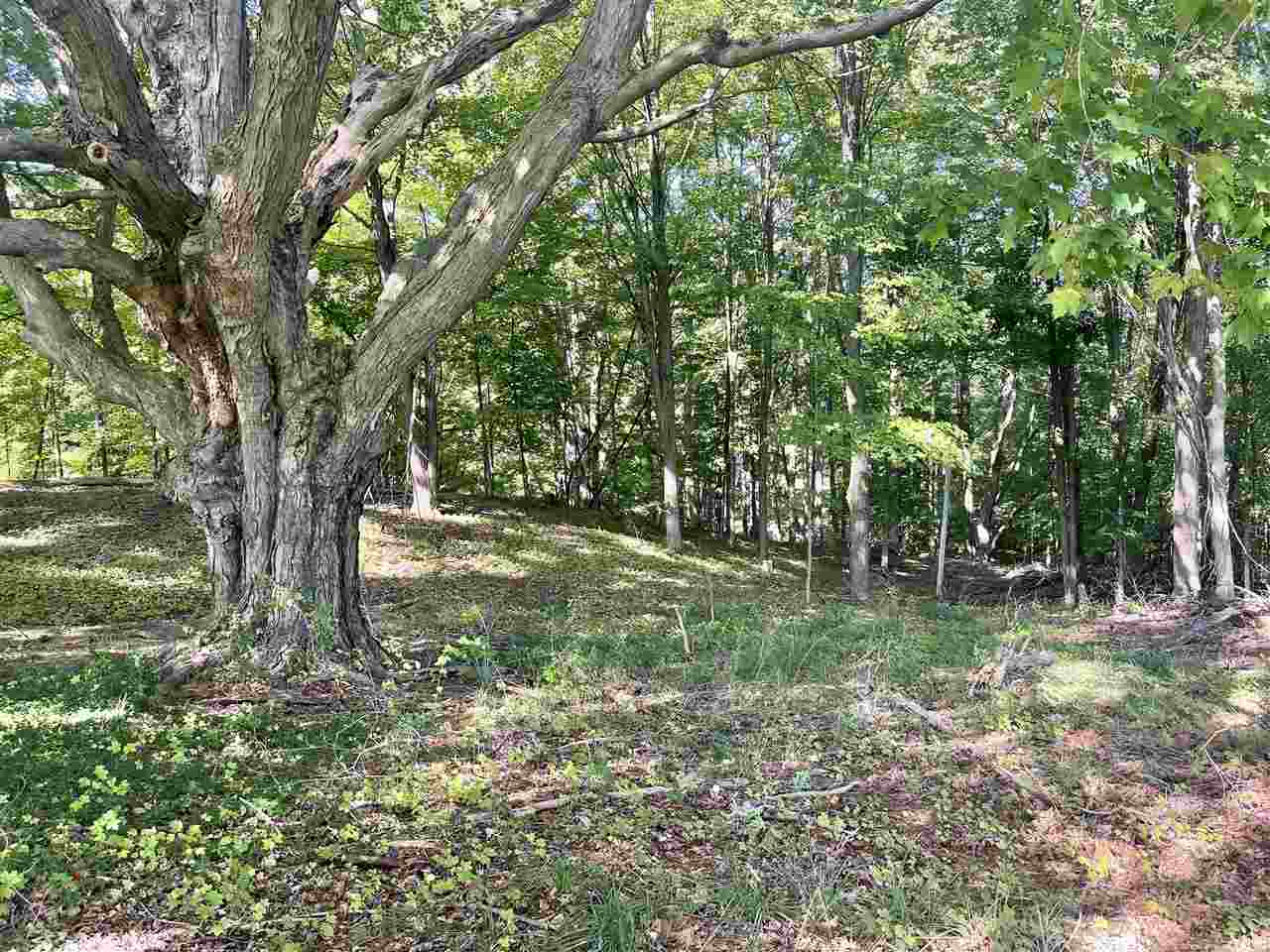 3479 Veterans Drive