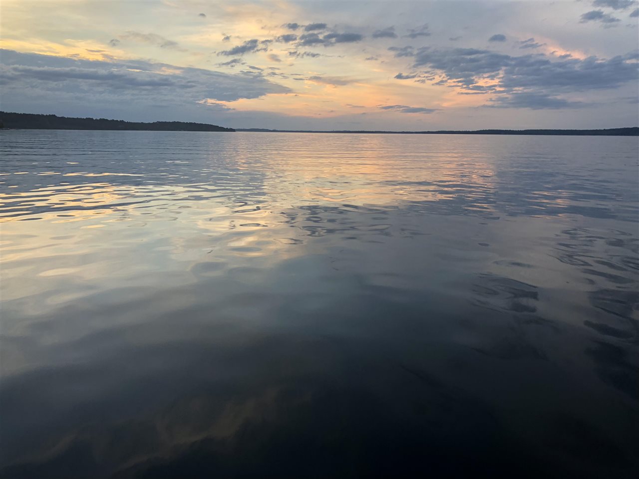 300 Front Street Unit: 103