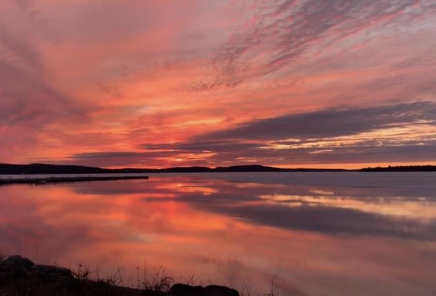 300 Front Street Unit: 103