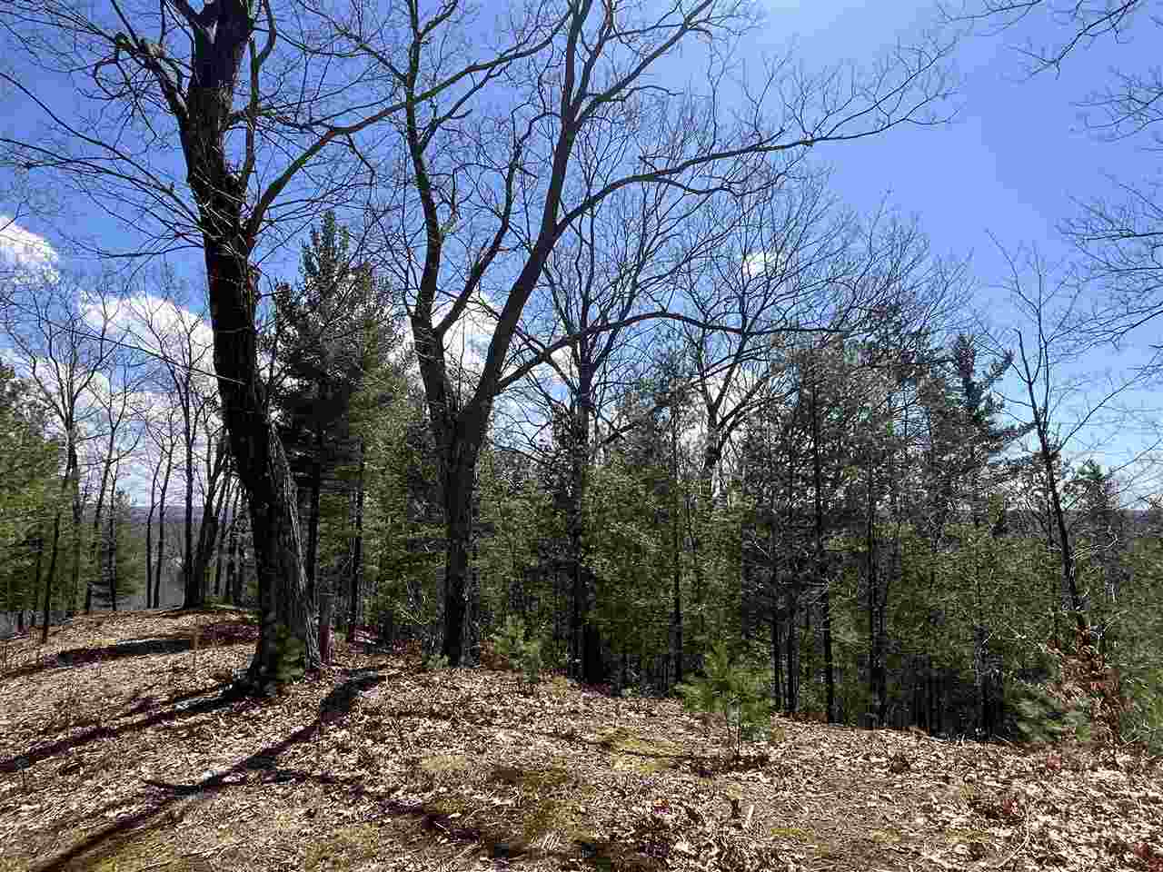 Lot 5 Vistas of Walloon