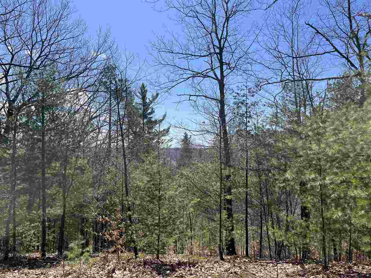 Lot 5 Vistas of Walloon