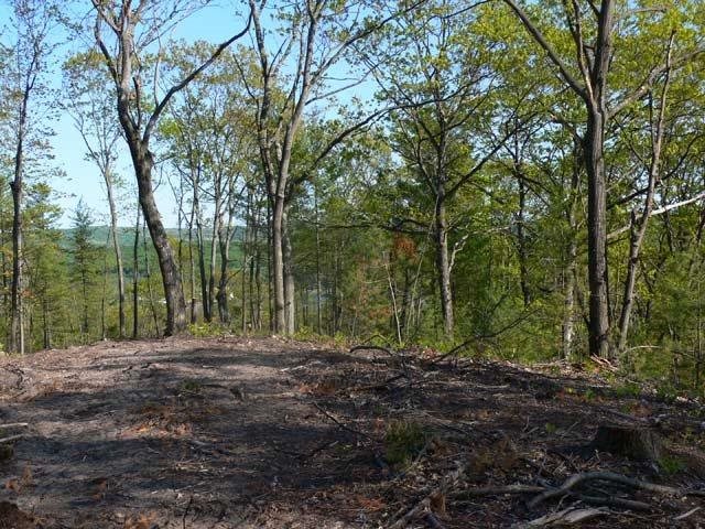 Lot 5 Vistas of Walloon