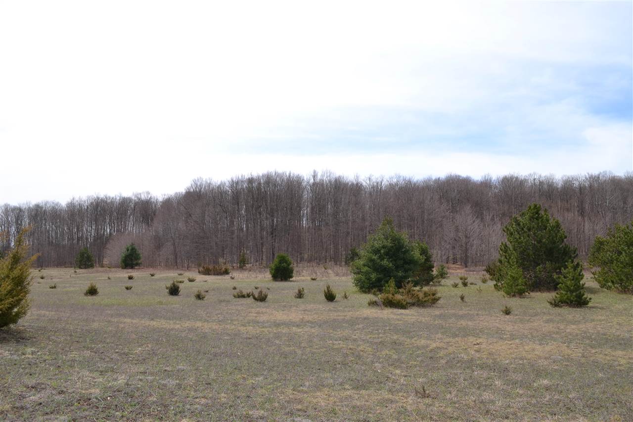 TBD Wilson Road