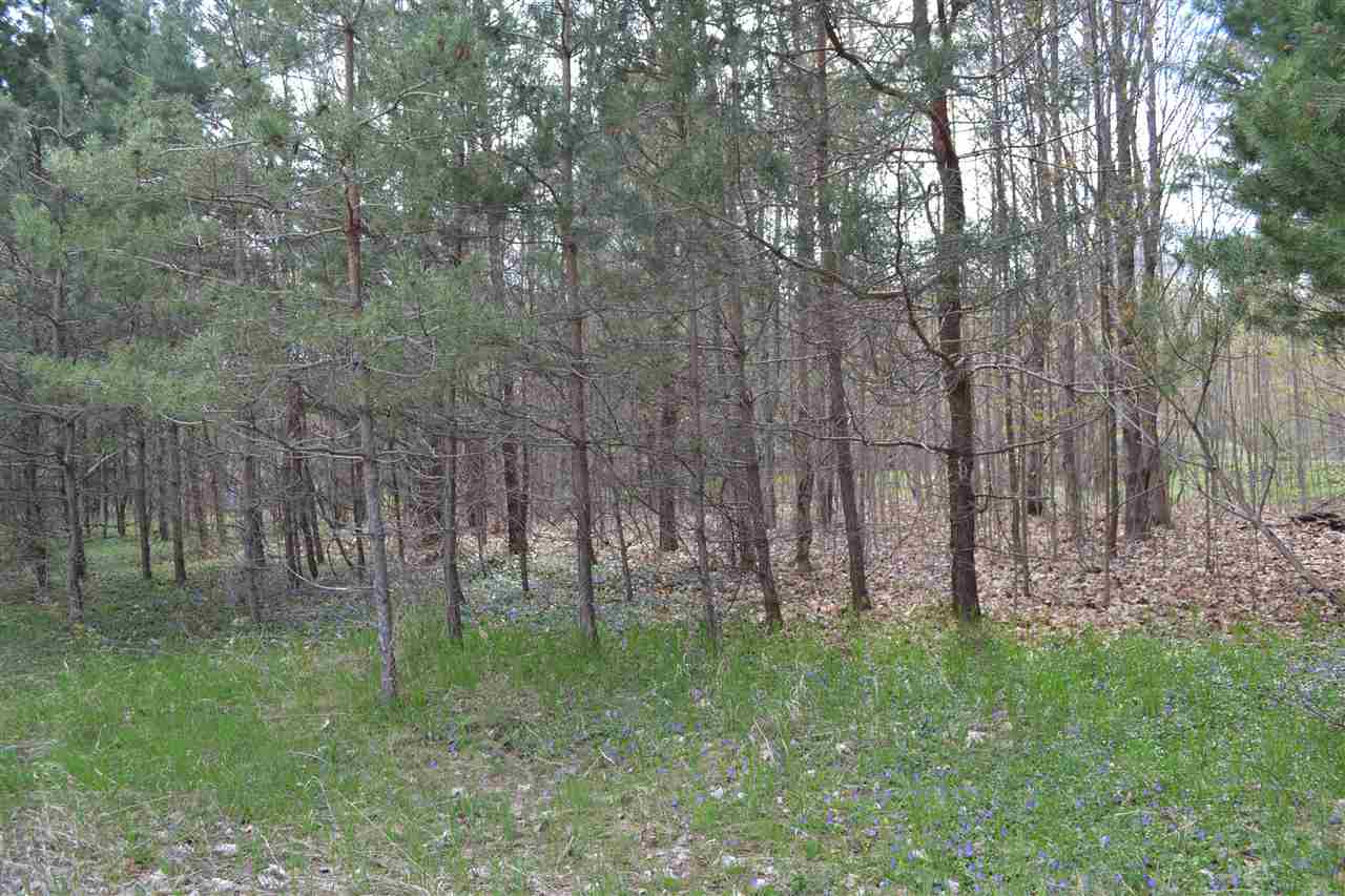 0 Apple Lane Unit: Lot #2