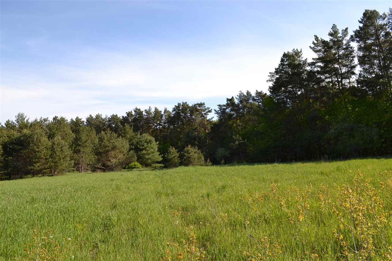 TBD Anderson Road