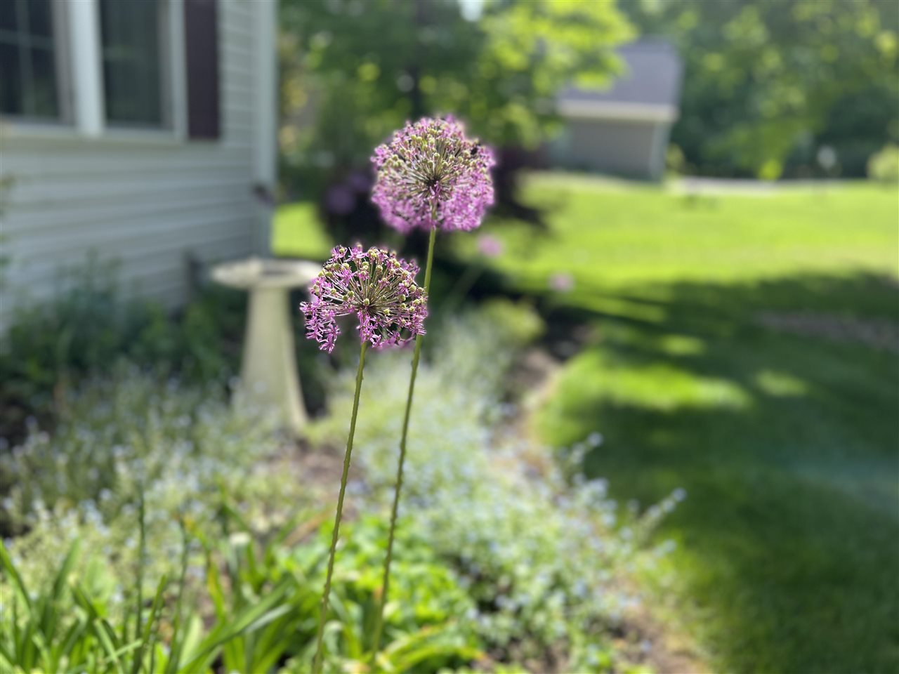 289 Blue Water Trail