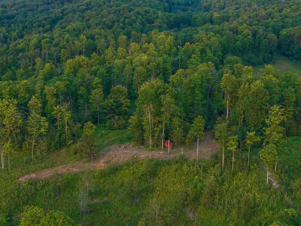 Lot 20 Aspen Ridge Court Unit: 20