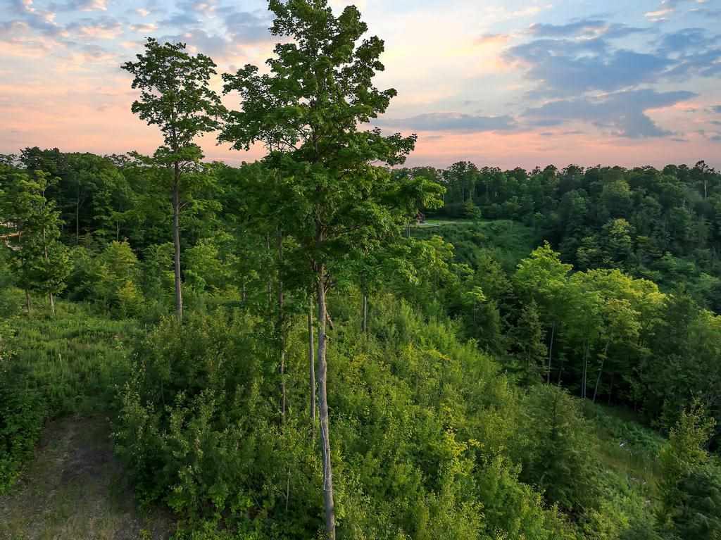 Lot 20 Aspen Ridge Court Unit: 20