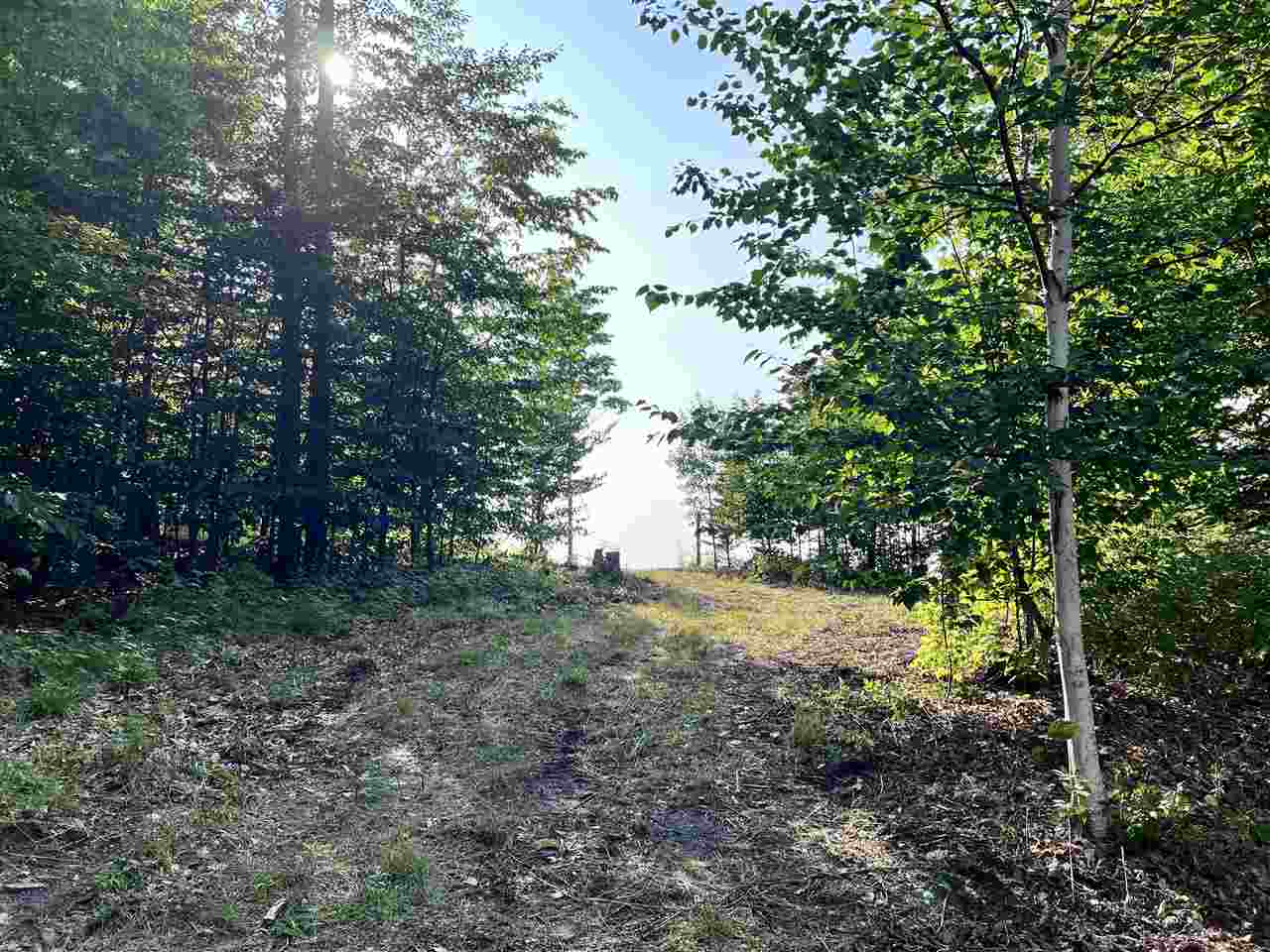 Lot 20 Aspen Ridge Court Unit: 20