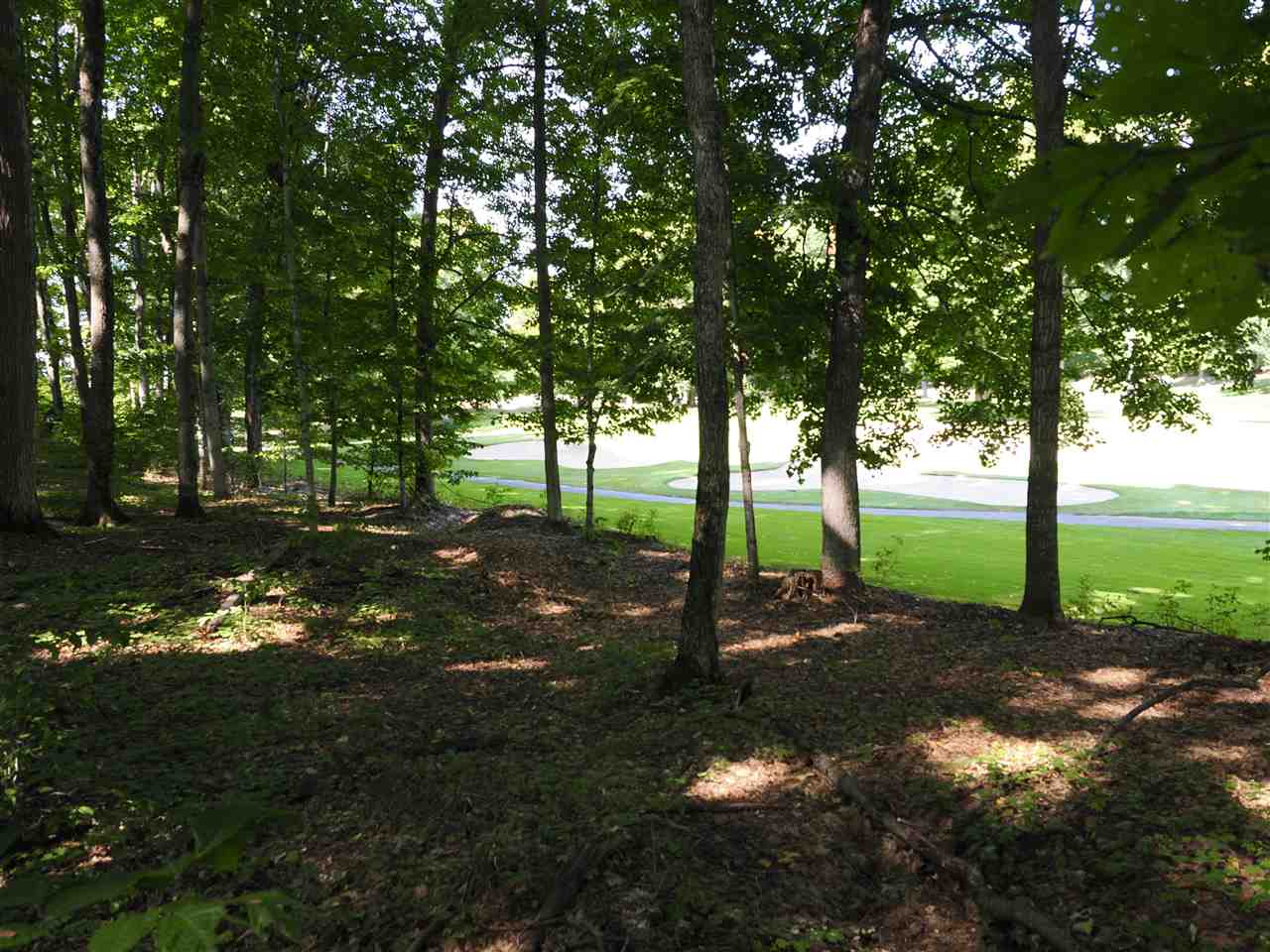72 Turnberry Trail