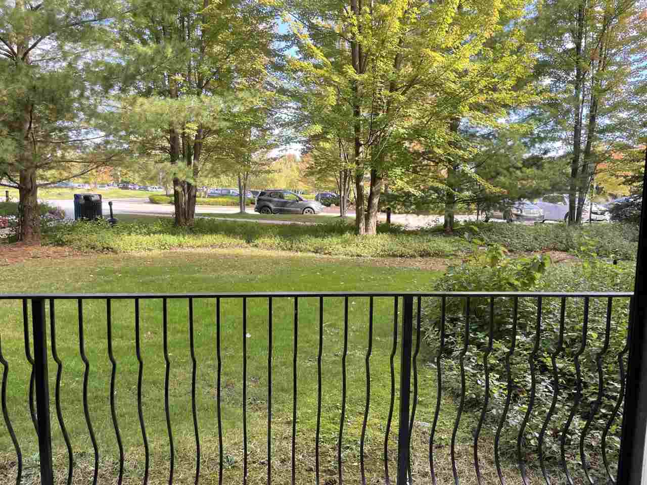 02780 Boyne Mountain Road Unit: Unit 94 "B" / Doors #165/167 Innsbruck Suite