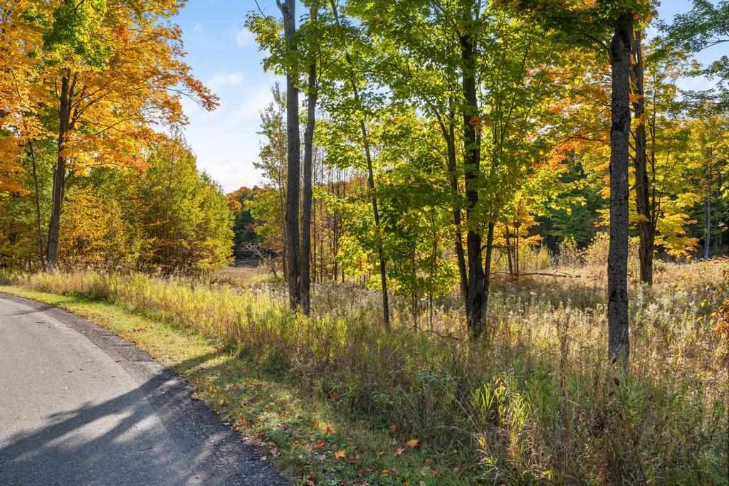 Lot 14 Aspen Ridge Court Unit: 14