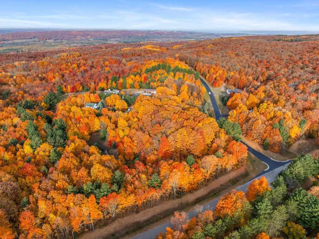 TBD Mountain View Trail Unit: 7