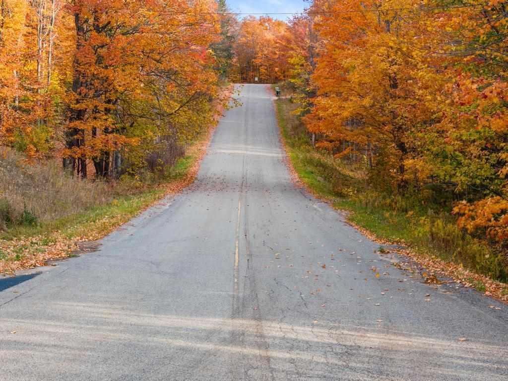 TBD Mountain View Trail Unit: 7