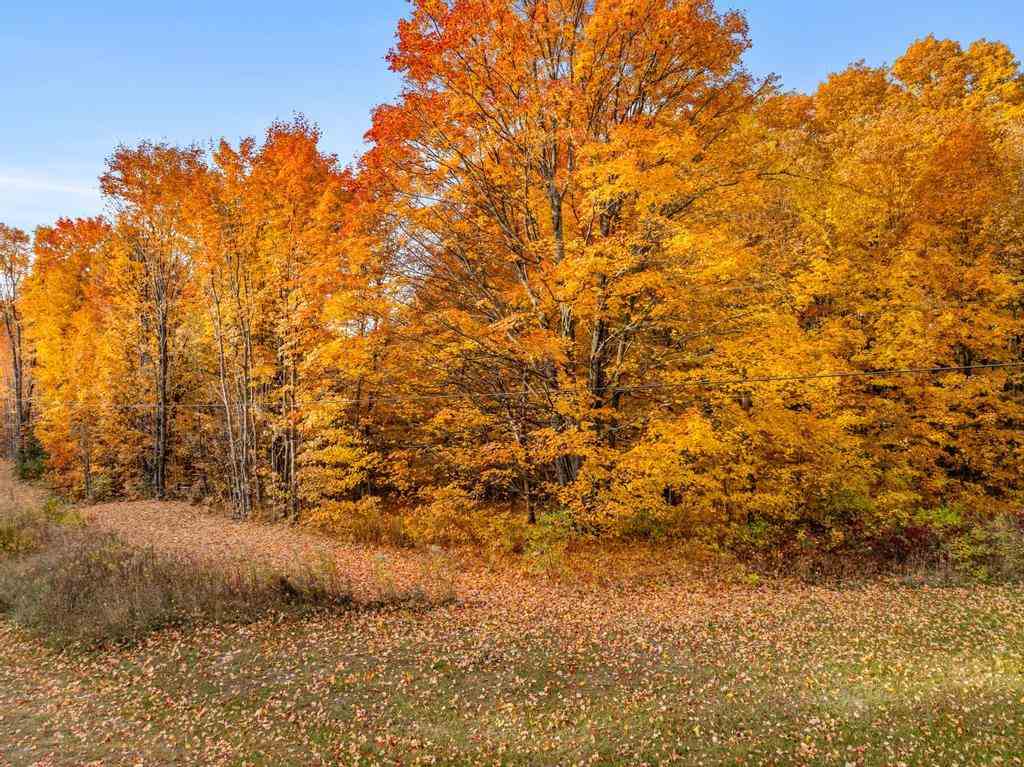 TBD Mountain View Trail Unit: 7