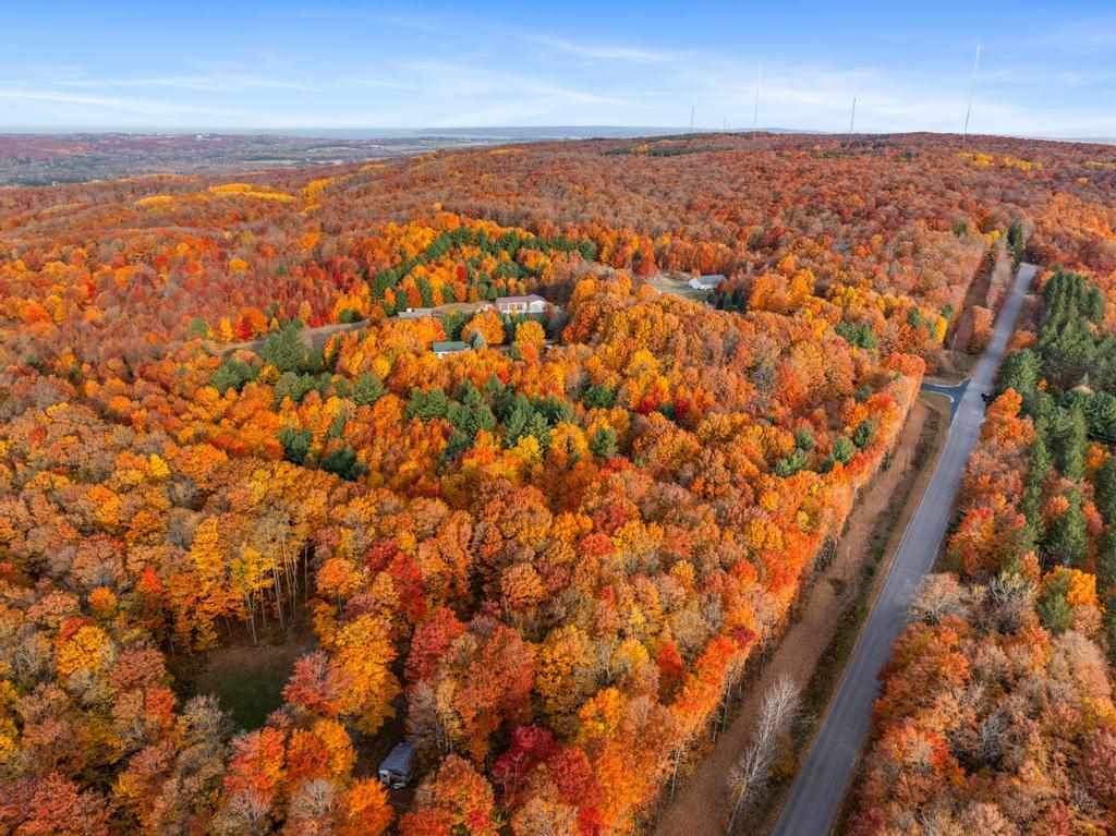 TBD Mountain View Trail Unit: 7