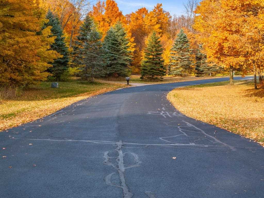 TBD Mountain View Trail Unit: 7