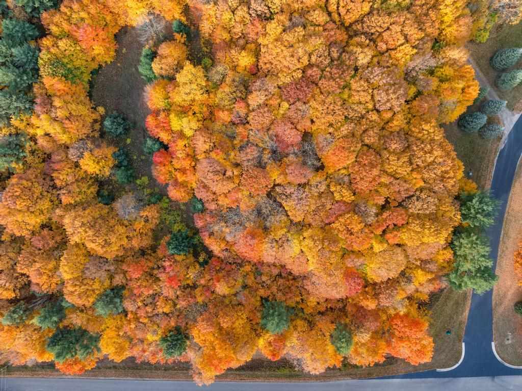 TBD Mountain View Trail Unit: 7