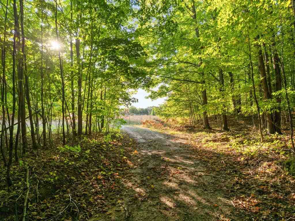 2307 N Springbrook Road